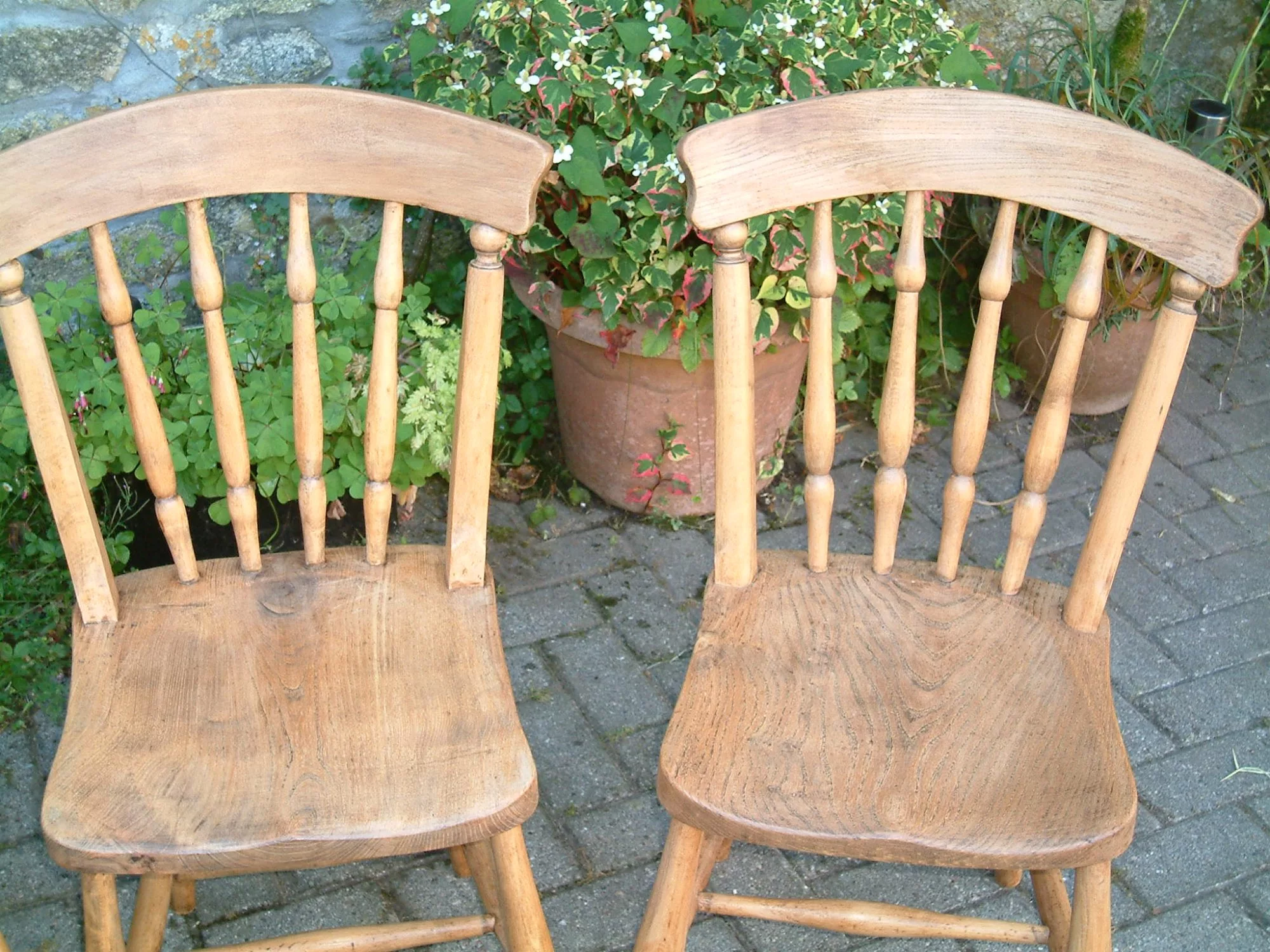antique dining chairs - close image of elm seats